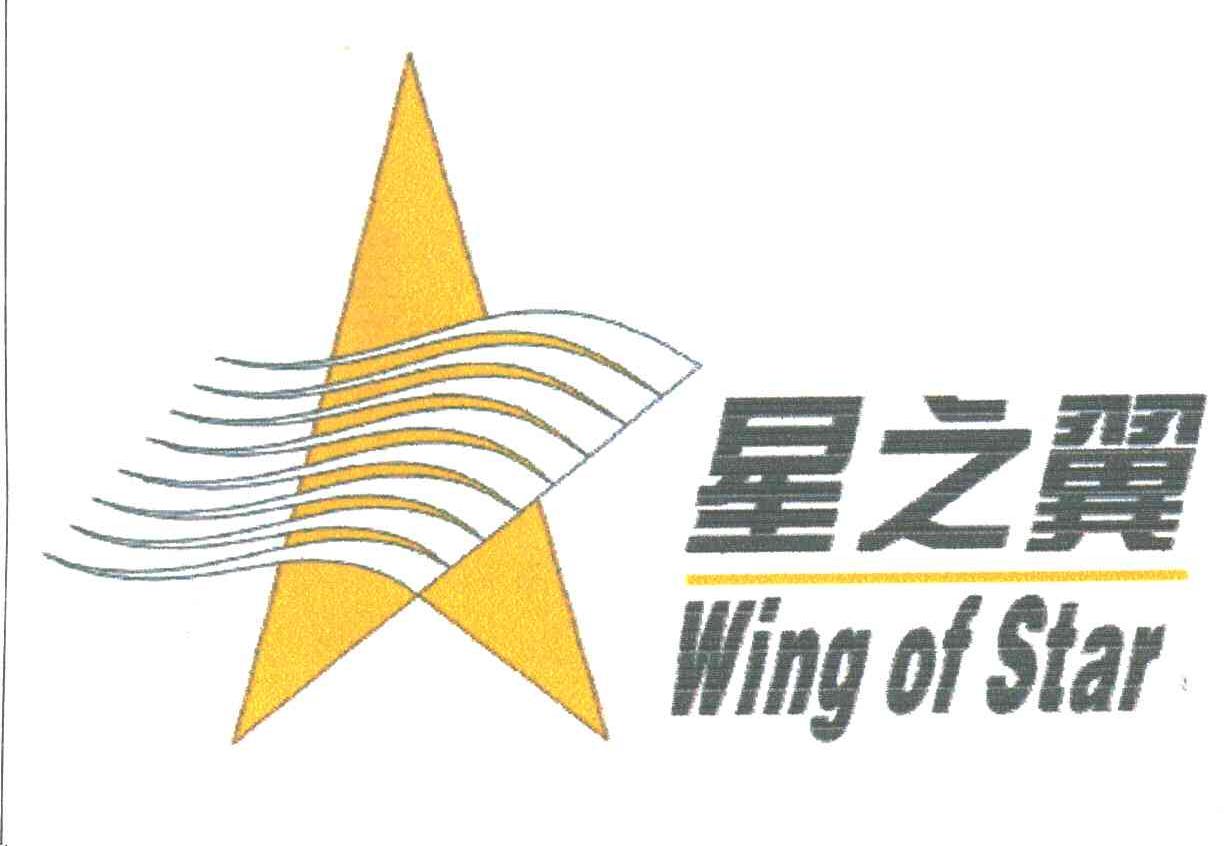 星之翼;WING OF STAR