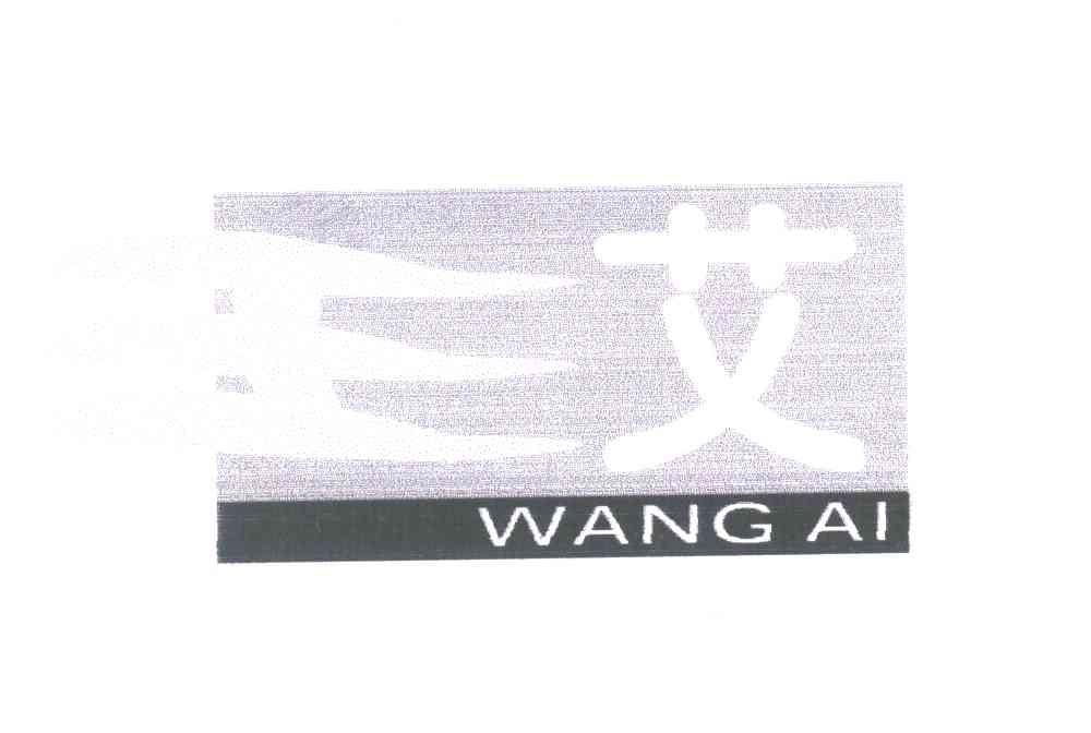 王艾;WANG AI