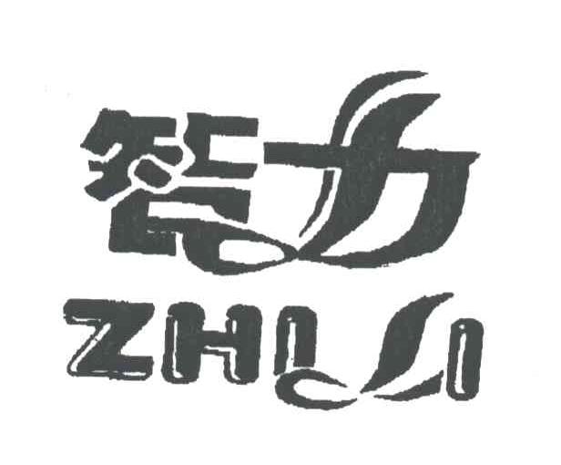 智力