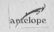 羚羊    ANTE LOPE