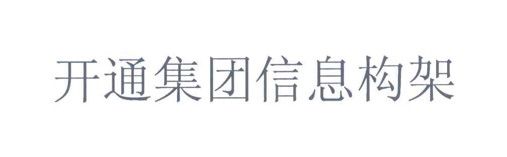 开通集团信息构架