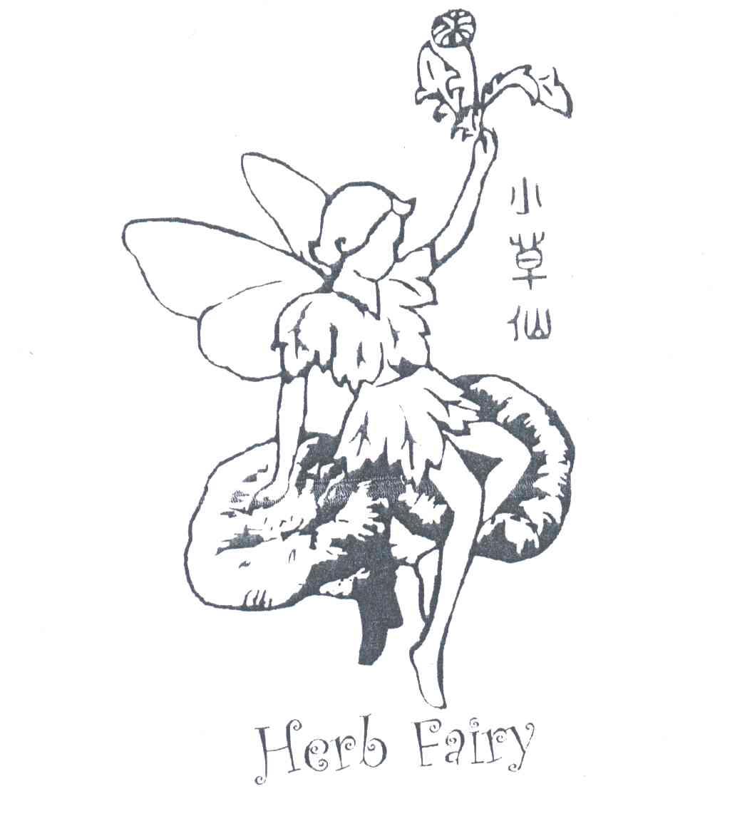 小草仙;HERB FAIRY