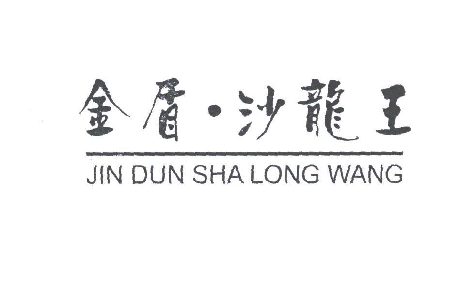 金盾.沙龙王