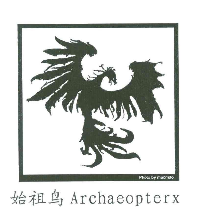 始祖鸟;ARCHAEOPTERX;PHOTO BY MAOMAO