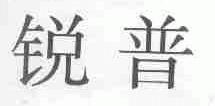 锐普