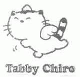 TABBY CHIRO