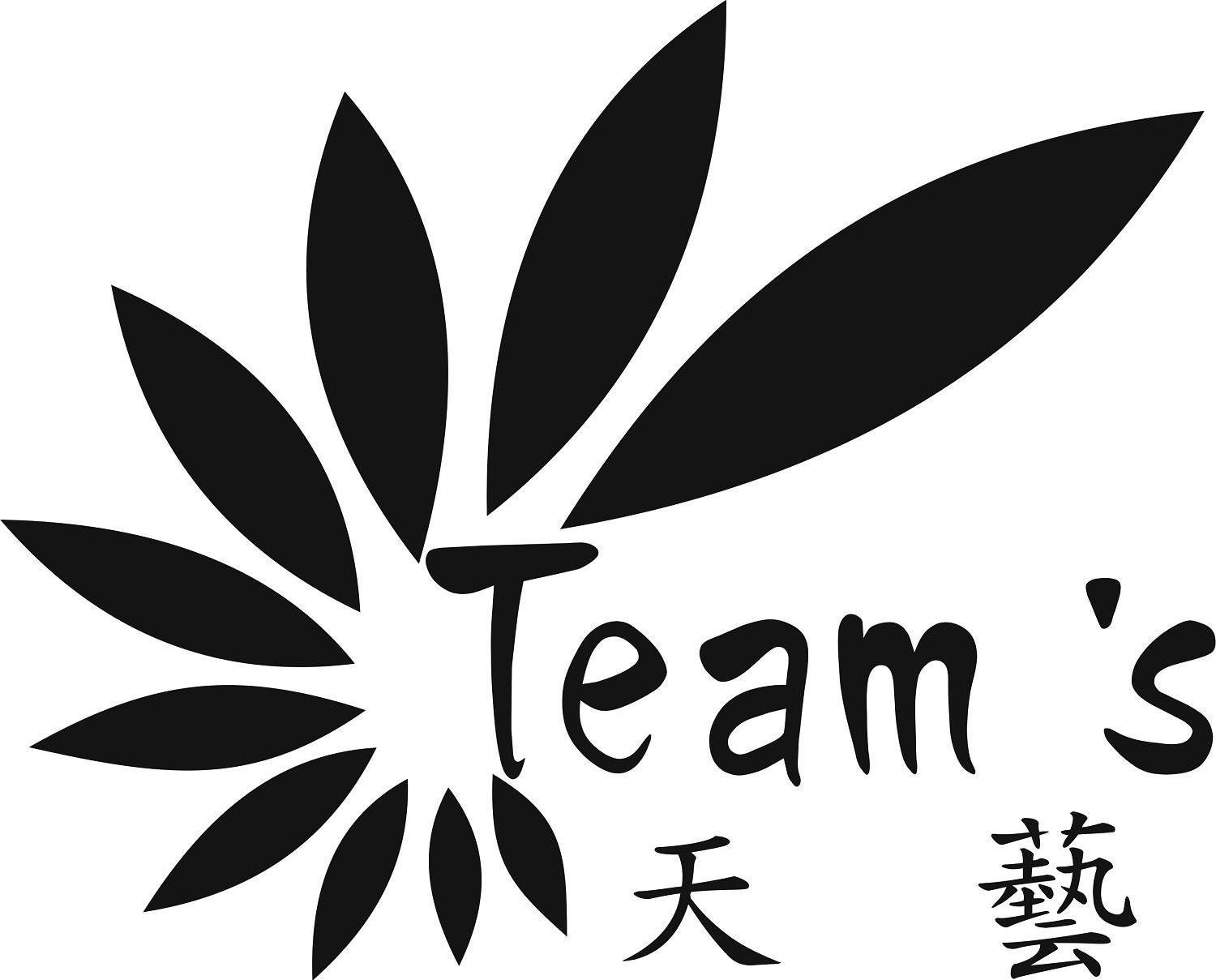 天艺 TEAM'S