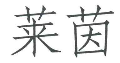 莱茵