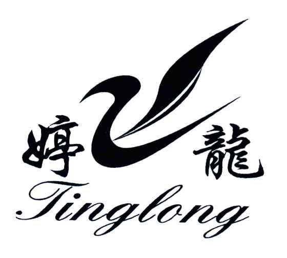 婷龙