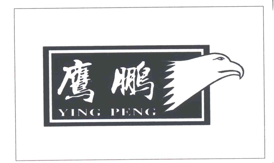 鹰鹏
