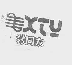 新同友   XTY
