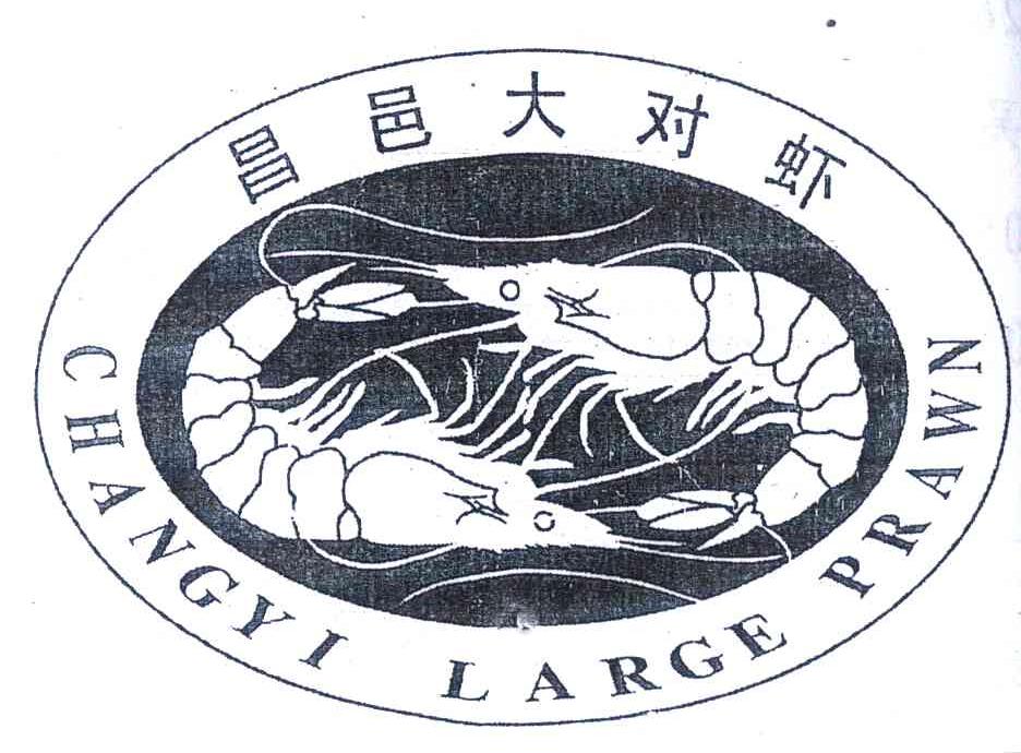 昌邑大对虾 CHANGYI LARGE PRAWN