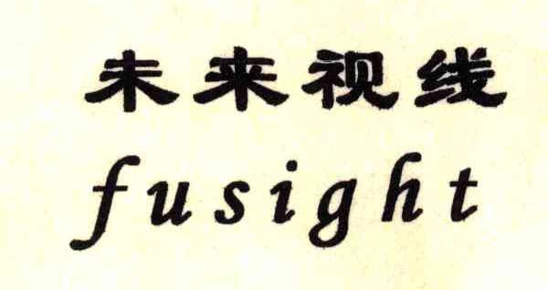 未来视线