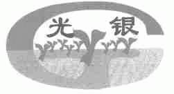 光银