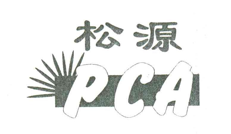 松源 PCA