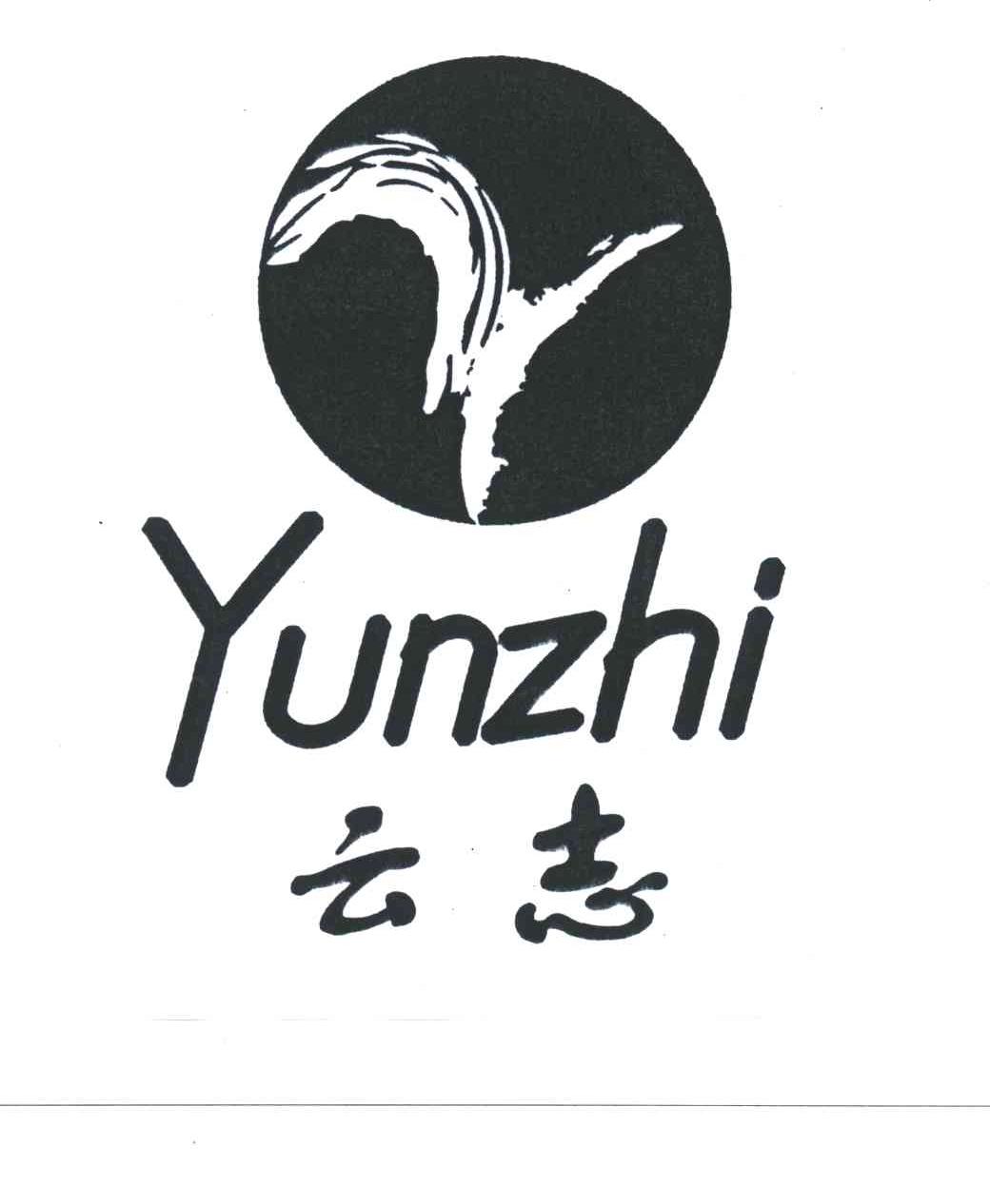 云志