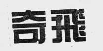奇飞