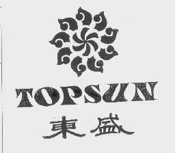 TOPSUN   东盛