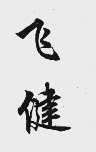 飞健