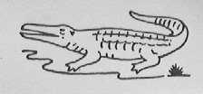 CROCODILE