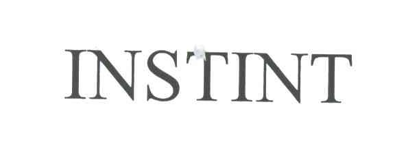 INSTINT