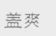 盖爽