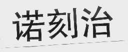 诺刻治