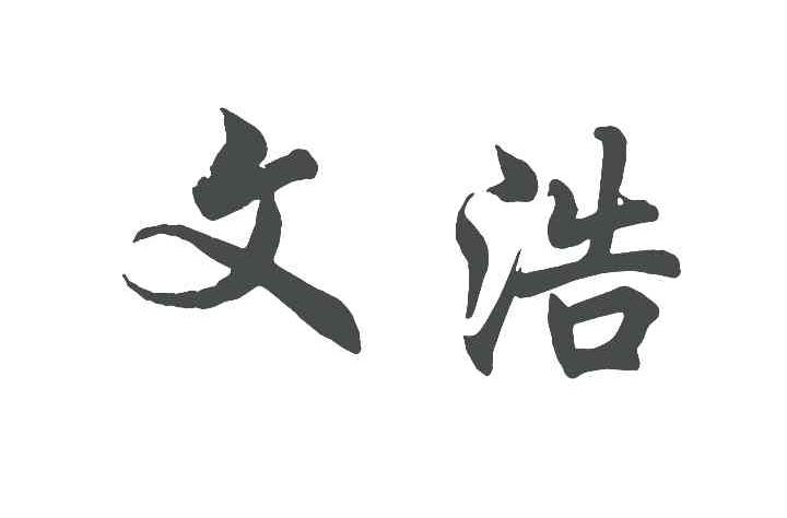 文浩