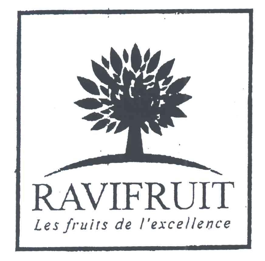 RAVIFRUIT LES FRUITS DE I'EXCELLENCE