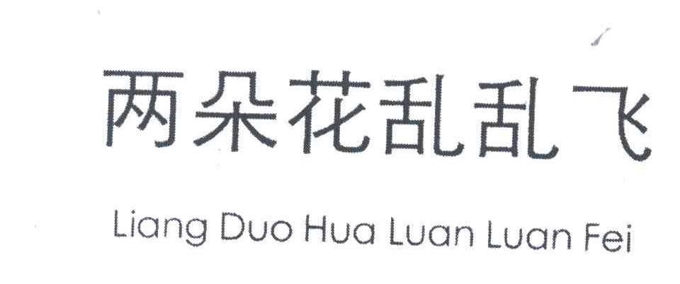 两朵花乱乱飞