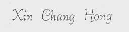 XIN CHANG HONG