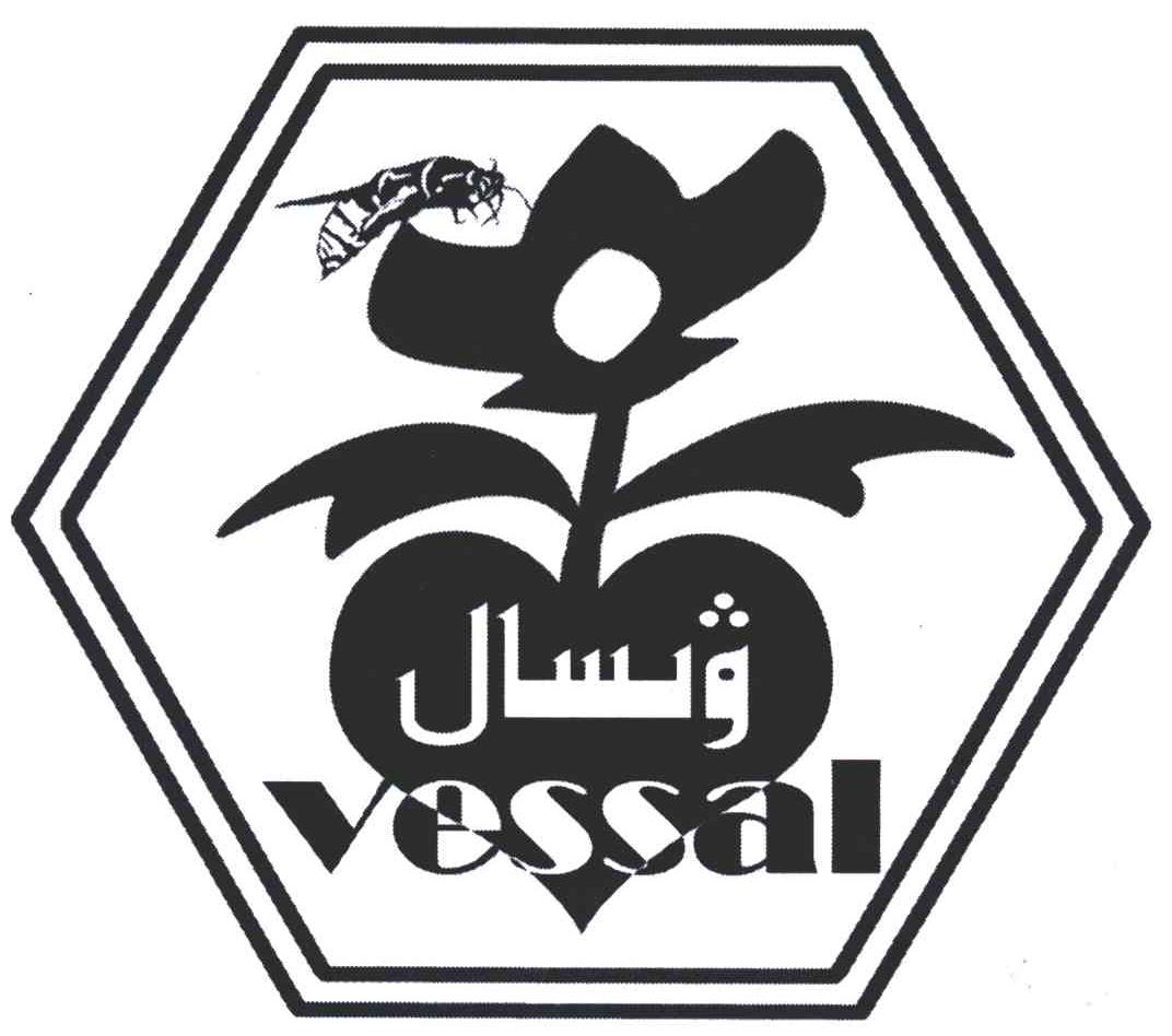 VESSAL