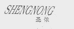 圣侬