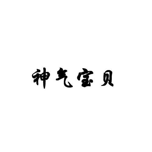 神气宝贝