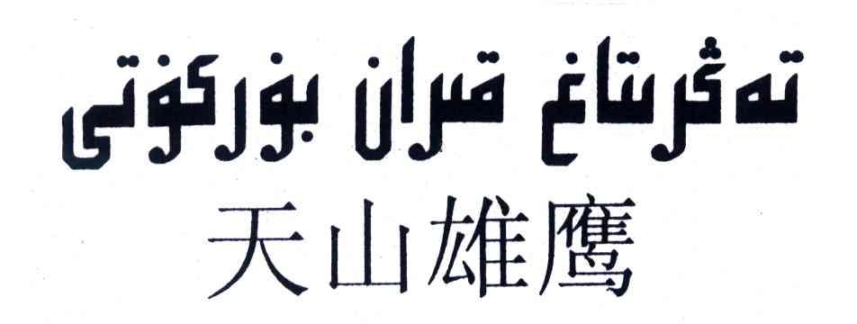 天山雄鹰