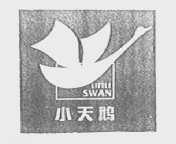 小天鹅    LITTLE SWAN