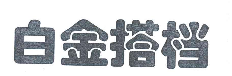 白金搭档