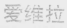 爱维拉