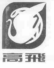 高飞