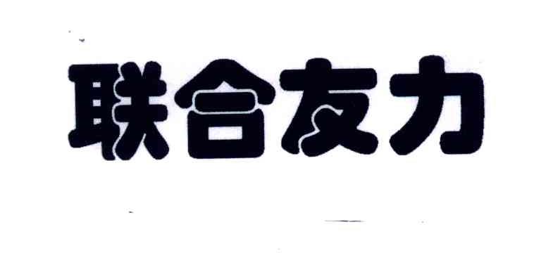 联合友力