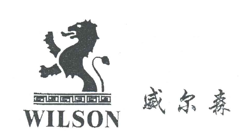威尔森;WILSON