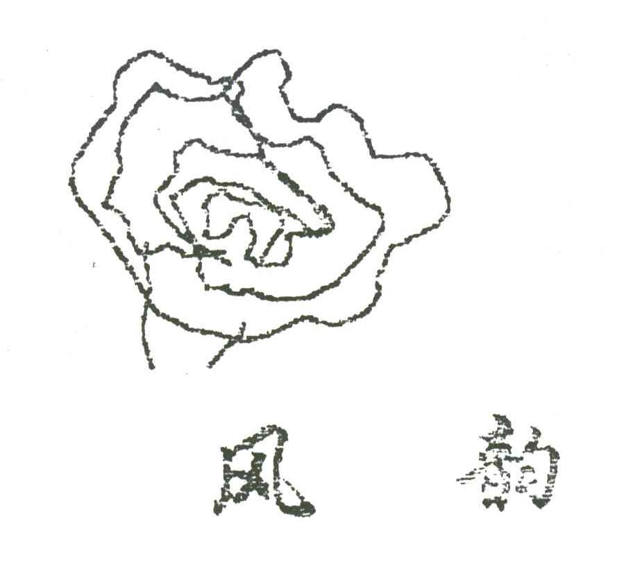 风韵