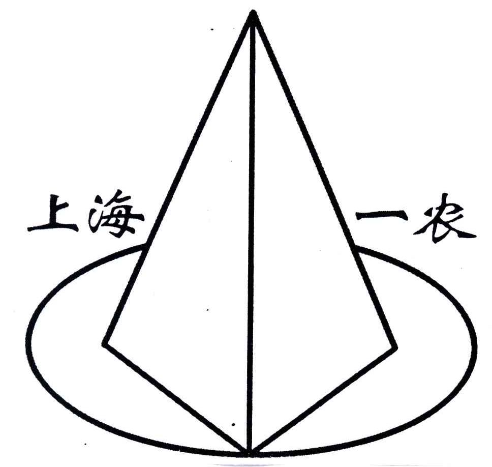 上海一农