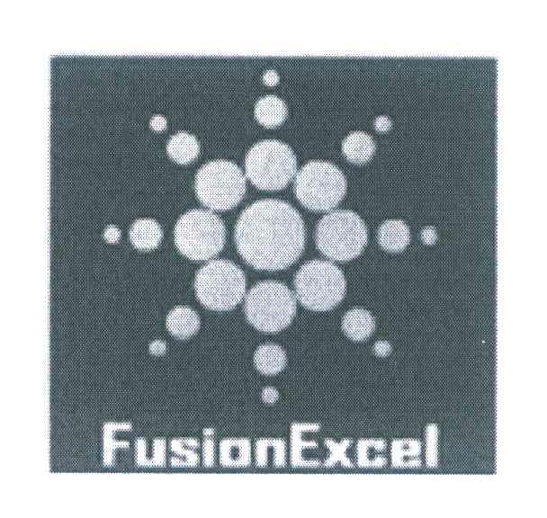 FUSIONEXCEL