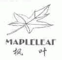 枫叶;MAPLELEAF
