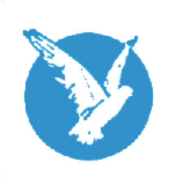 图形