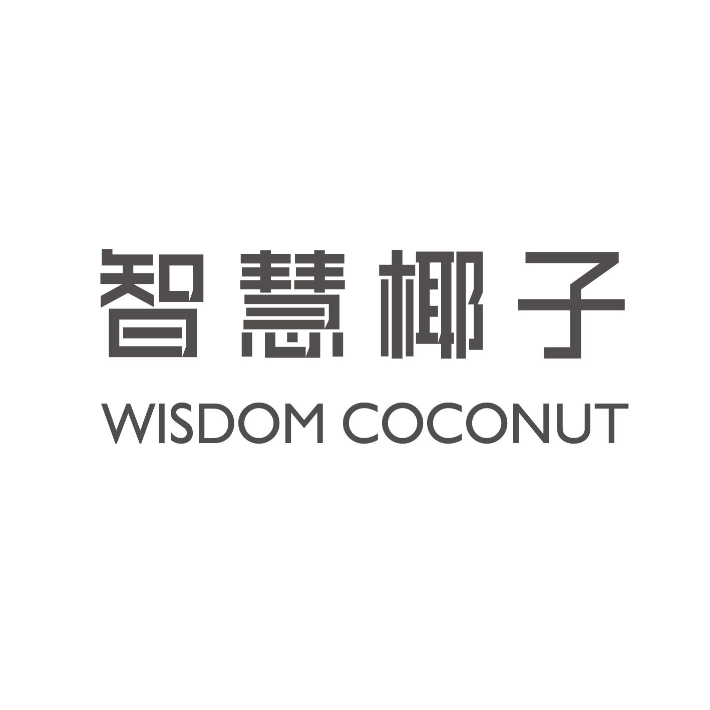 智慧椰子 WISDOM COCONUT
