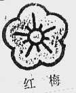 红梅