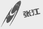 张江