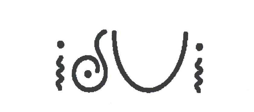 ISUI